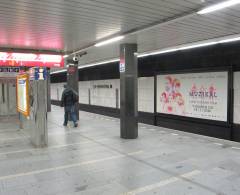 1091188 Billboard, Praha 02  (Metro C I. P. Pavlova      )