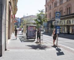 642804 Citylight, Brno - Střed (Rašínova X náměstí Svobody, ZC)