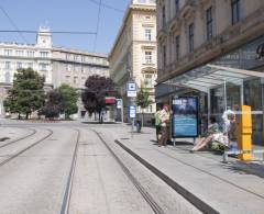 642827 Citylight, Brno - Střed (Česká X Brandlova, ZC)