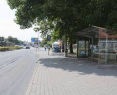 642394 Citylight, Brno - Střed (Nové Sady X Křídlovická, Bus)