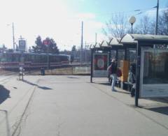 642259 Citylight, Brno - Židenice (Stará osada,tram,DC)